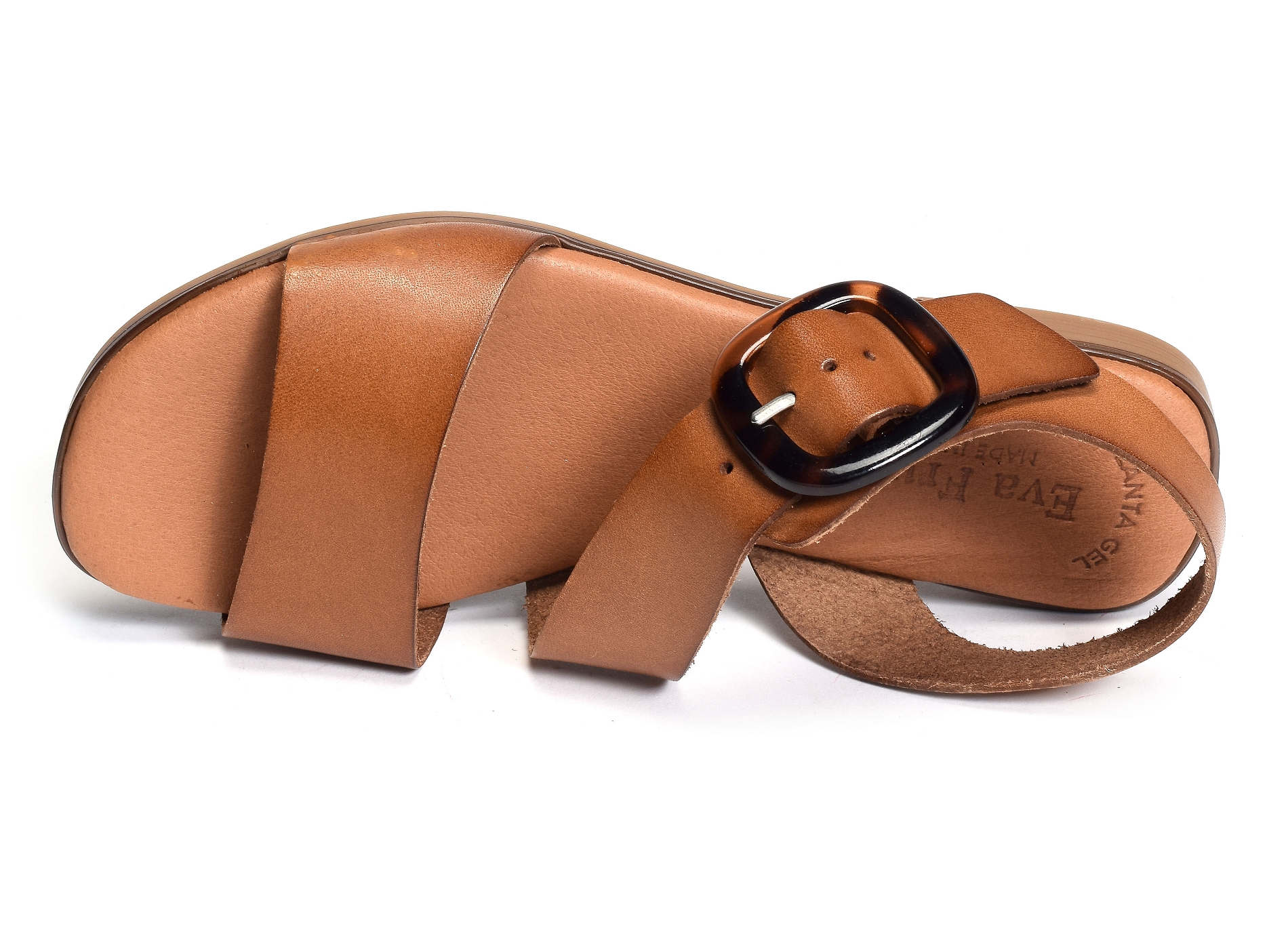 3020 camel