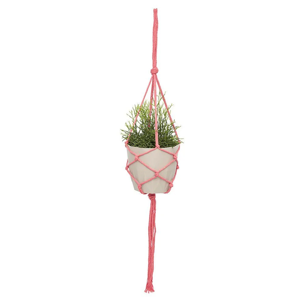 Suspension pour plantes en macramé