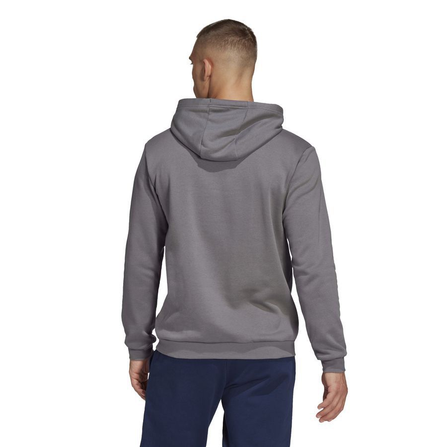 adidas Sweat à Capuche Entrada 22 - Gris