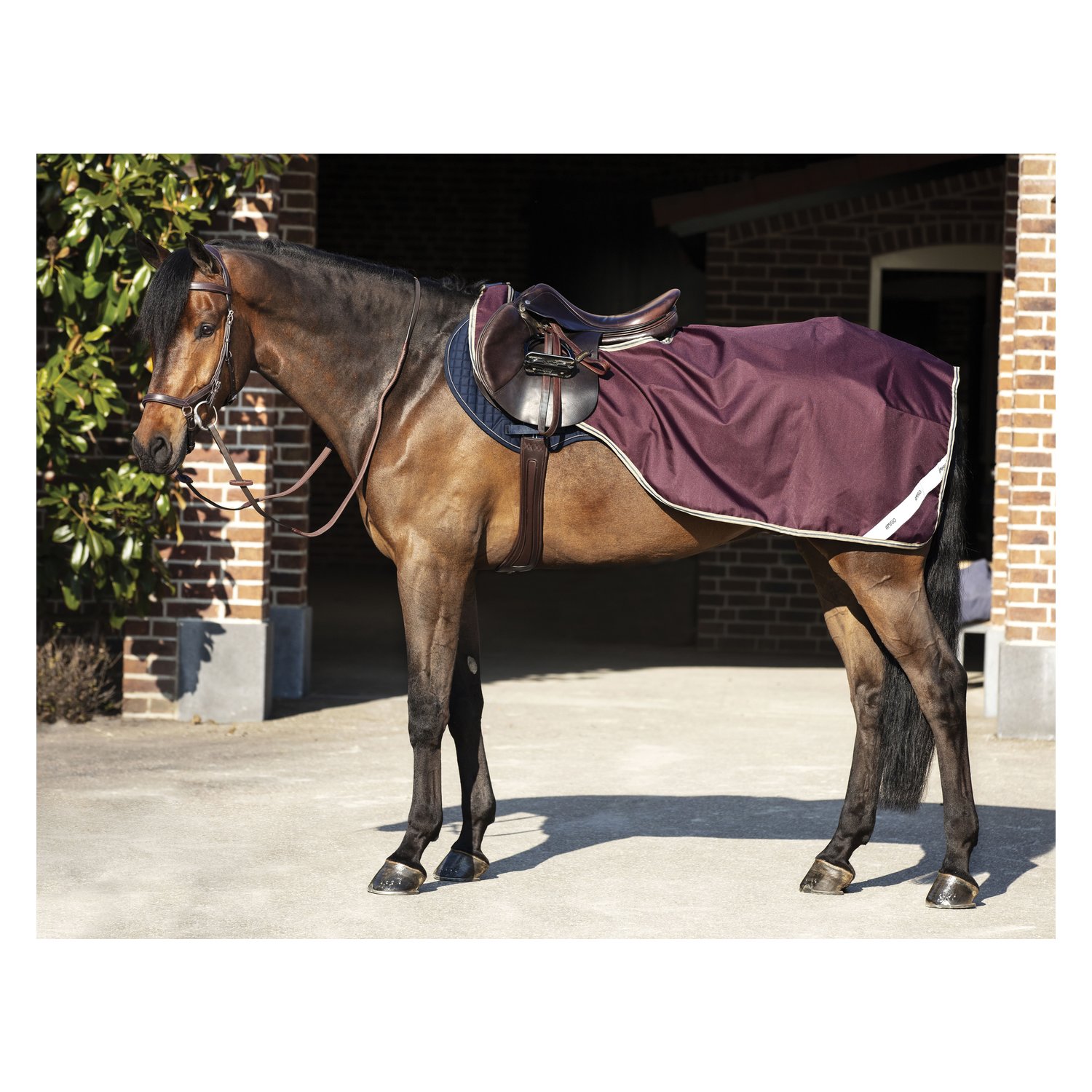 HORSEWARE Ausreitdecke AMIGO Competition Sheet - feige/navy/tan