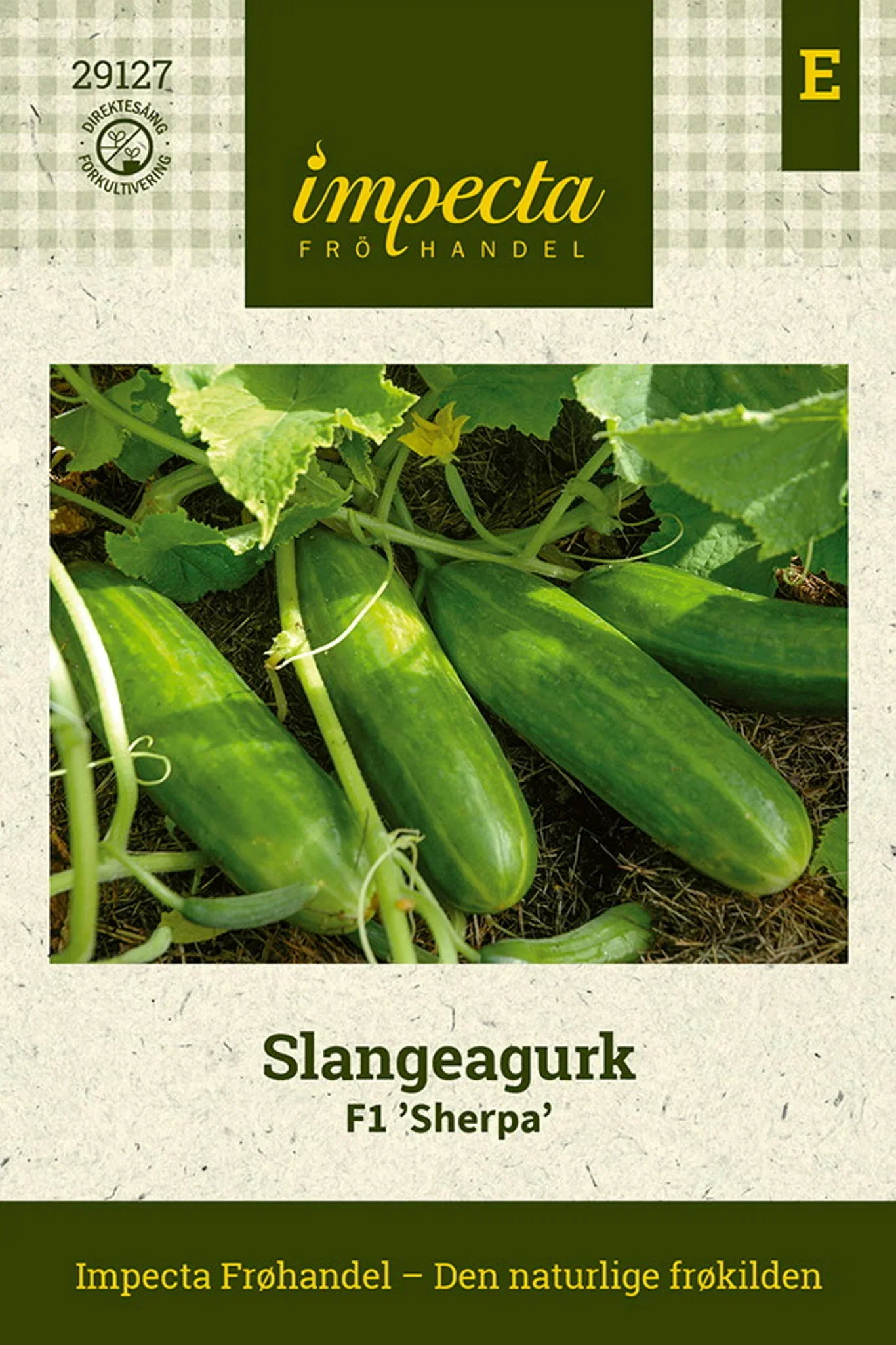 Cucumis sativus F1 'Sherpa' Slangeagurk F1 'Sherpa'