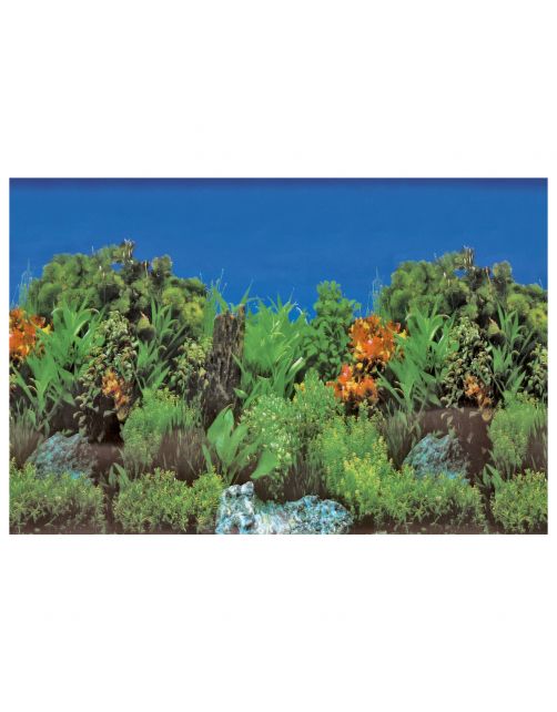 Superfish Deco Poster - Aquarium - Ornament
