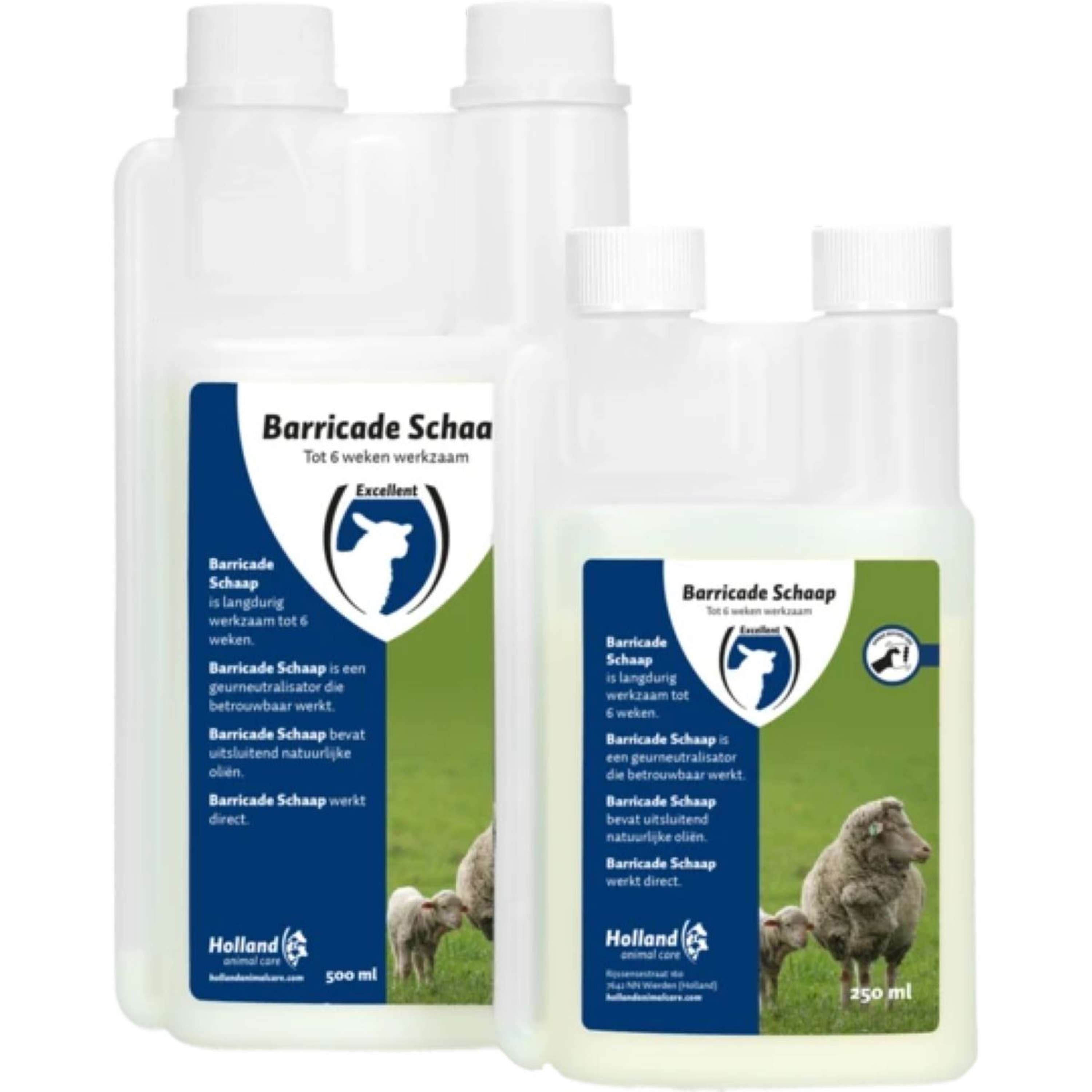 Excellent Barricade Schaap