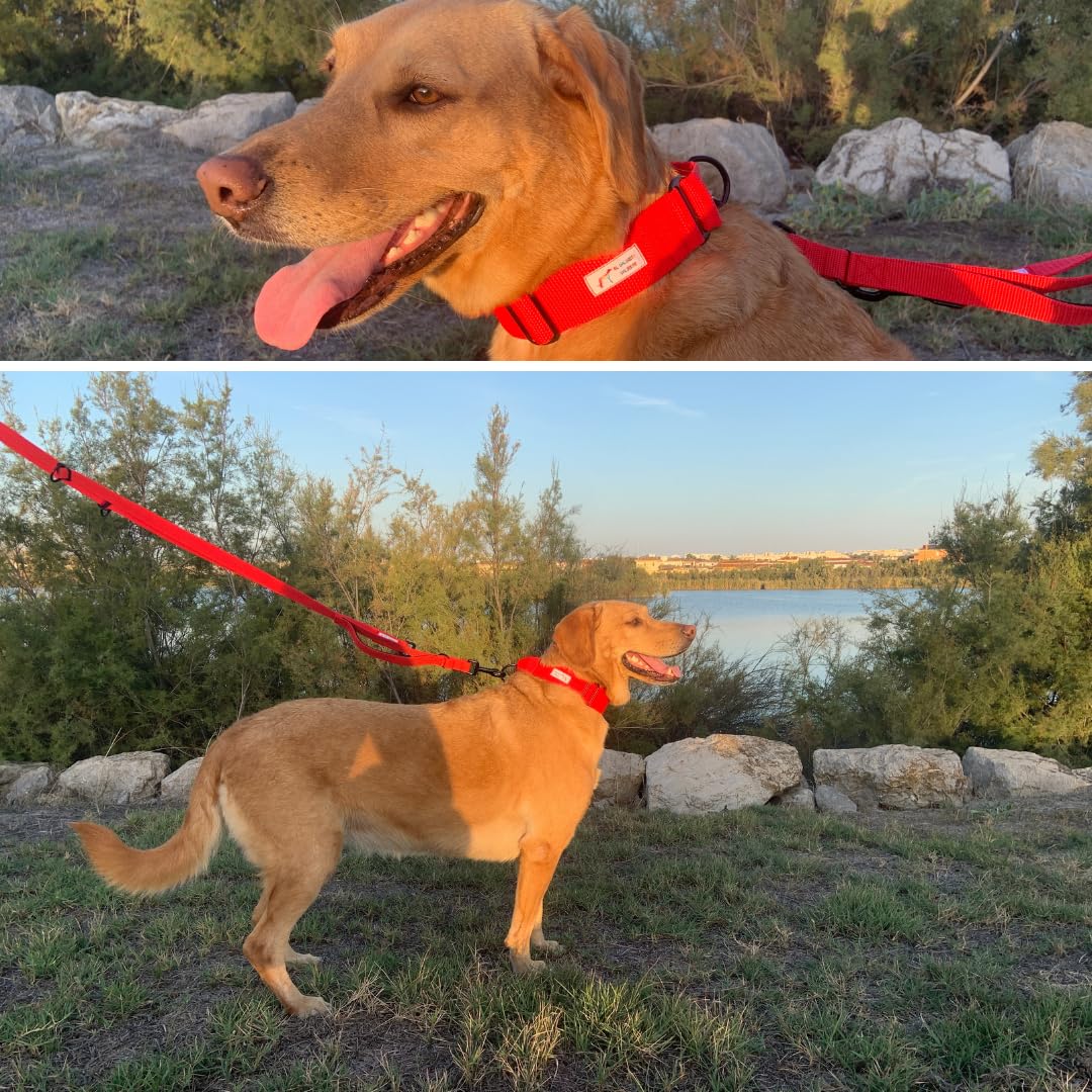 EGV - Coleira Martingale. Coleira artesanal para galgo, fabricada na Espanha (vermelha).