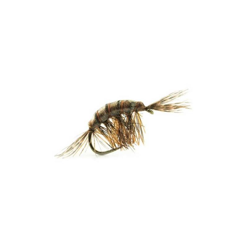 Mouche Devaux Gammare Jbgl10