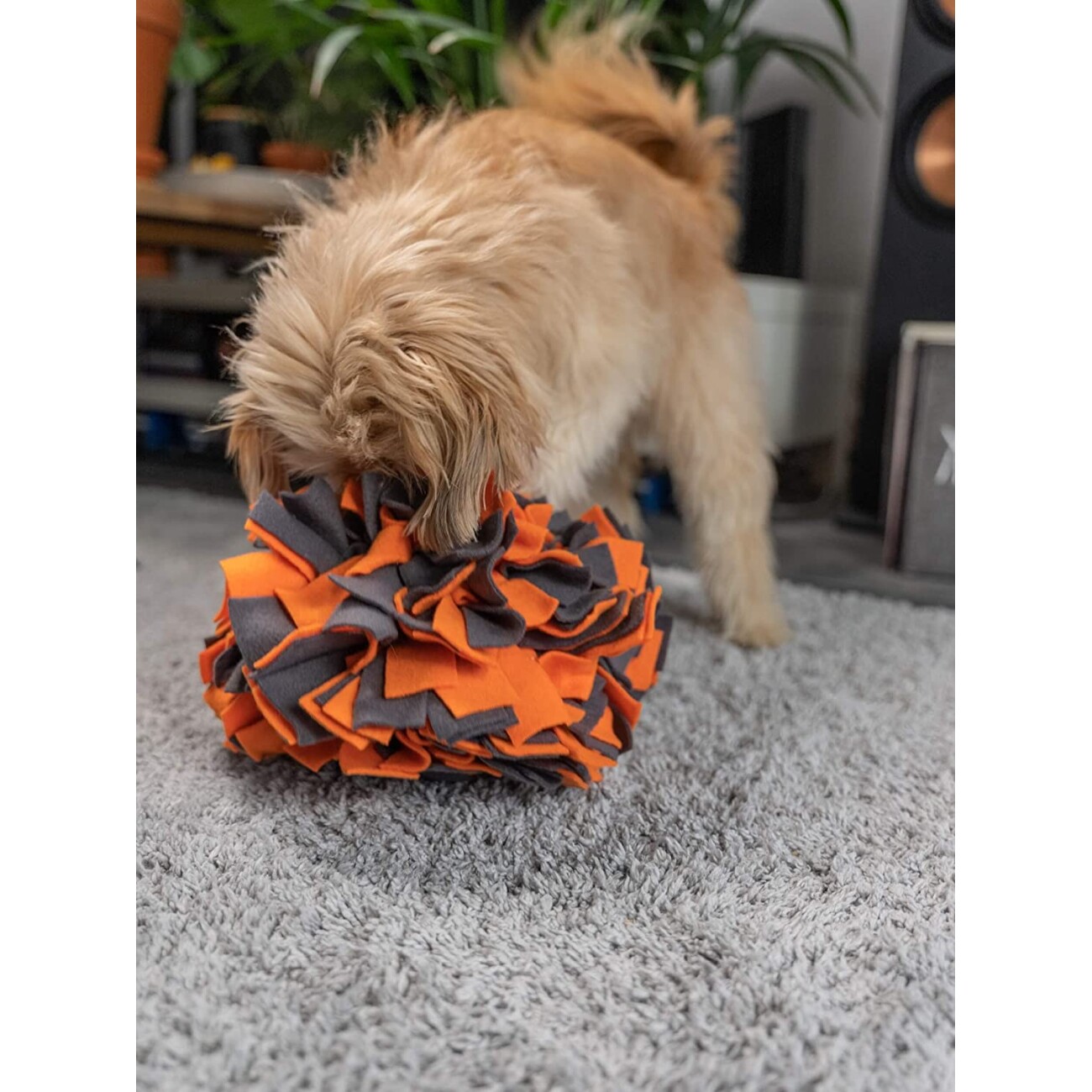 TrendPet Schnüffelball orange