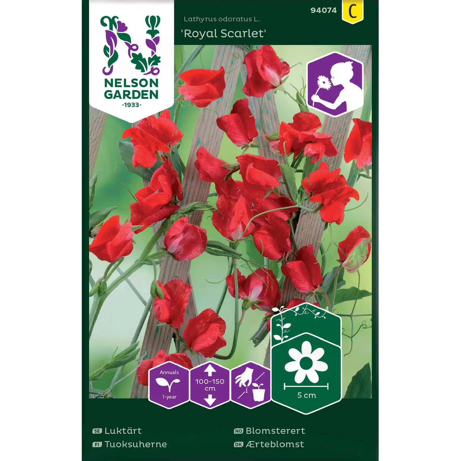 Lathyrus odoratus 'Royal Scarlet' Erteblomst 'Royal Scarlet'