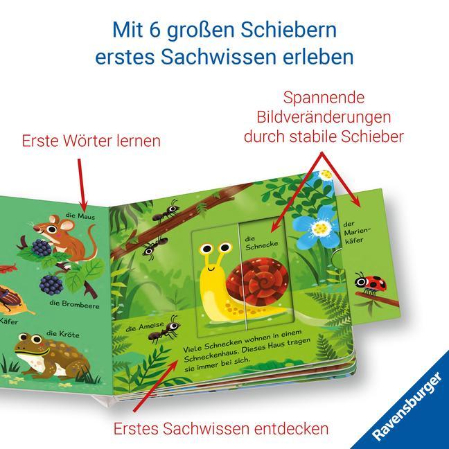 Meine ersten Wörter / Meine ersten Wörter vom Wald - Sprechen lernen mit großen Schiebern und Sachwissen für Kinder ab 12 Monaten