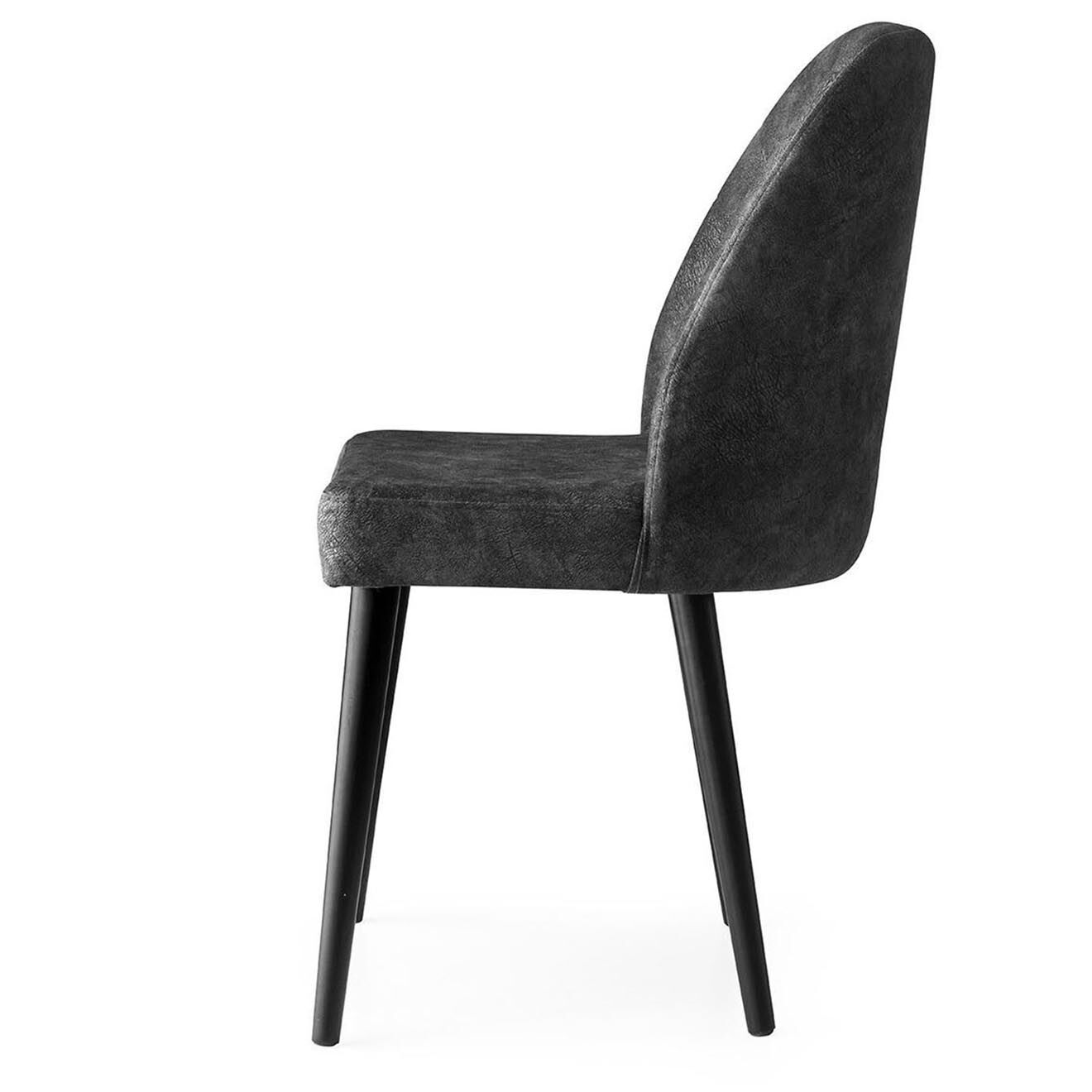 Homitis 2 Chaises Dallas anthracite - 50x90x49 cm