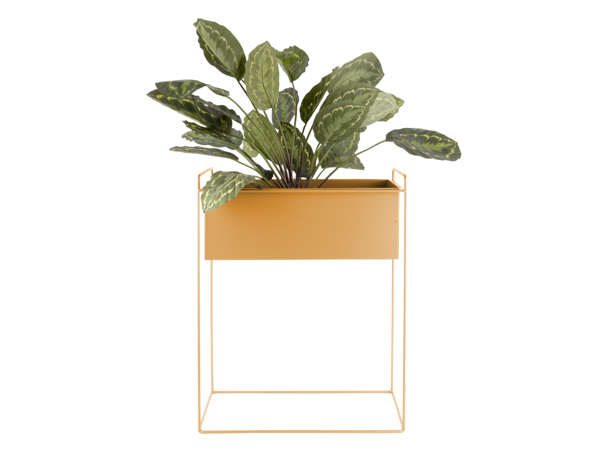 Plant pot set Essence straight iron ochre yellow