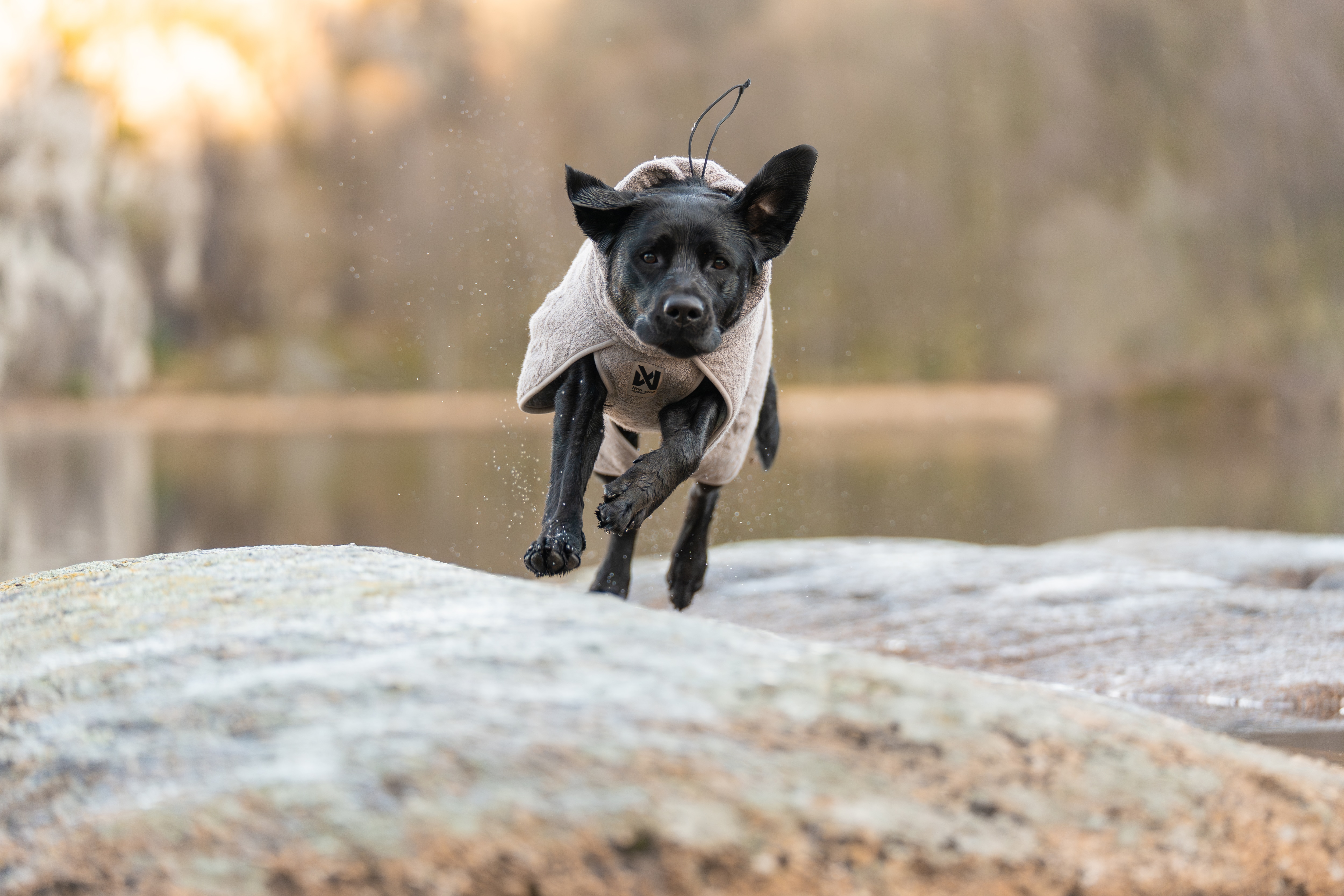 Kjøp Non-Stop Dogwear drying coat fra Hekta på tur!