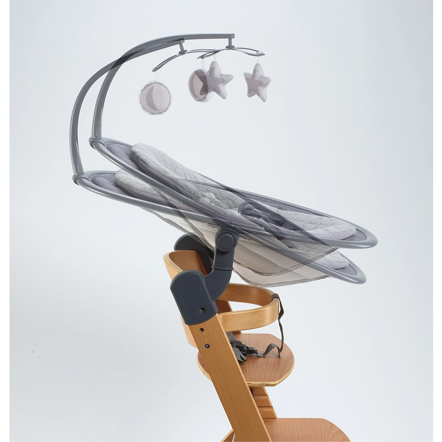 babyGO Hochhstuhl-Set Newborn Family Natur  Grey