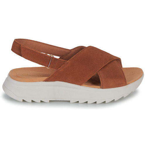 Clarks - DASHLITE WISH - Marron