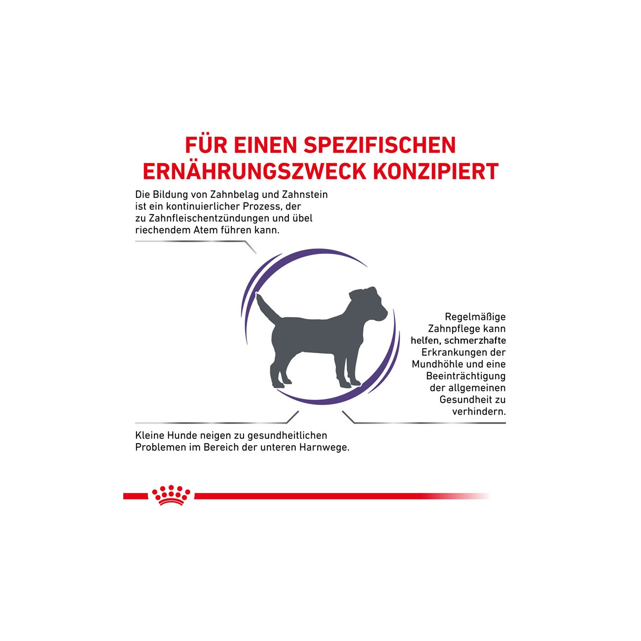 ROYAL CANIN Expert Dental Small Dogs 1,5 kg