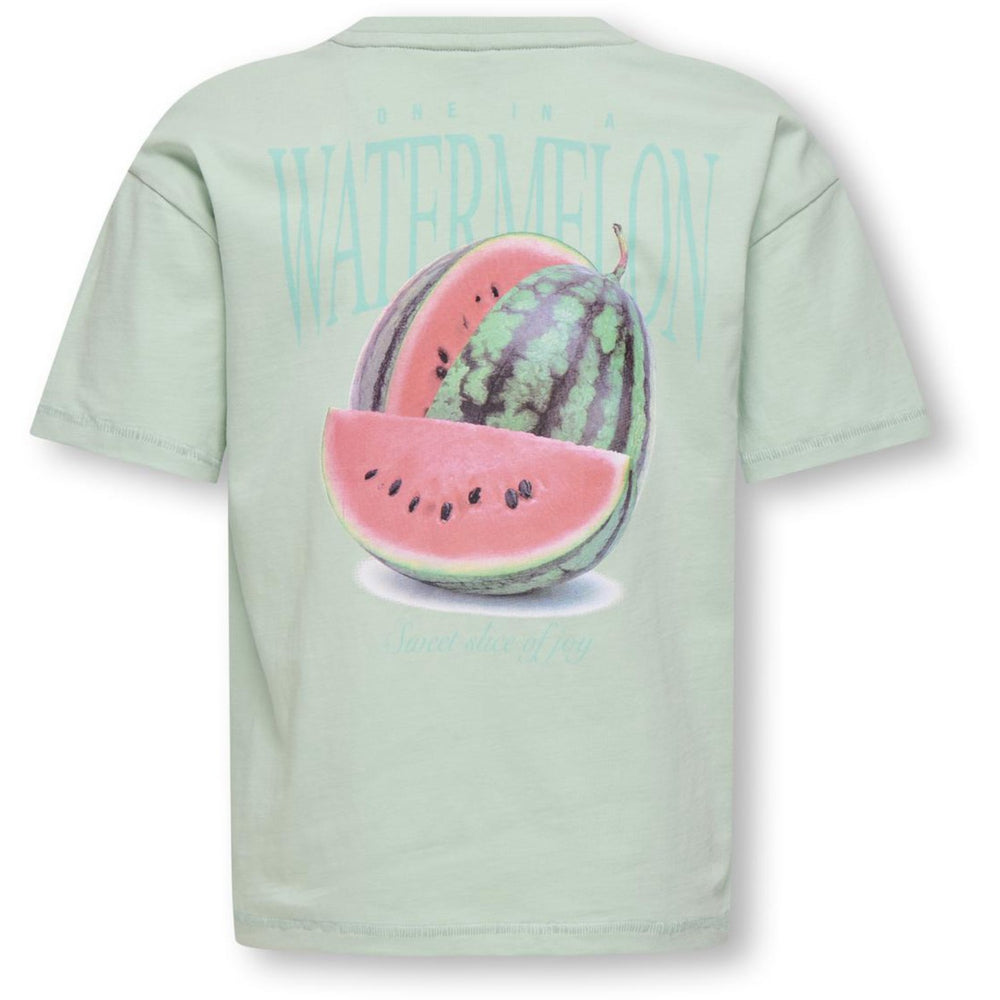 Køb kids ONLY Aqua Foam Watermelon Koghelen Life S/S Loose Tee Jrs Noos