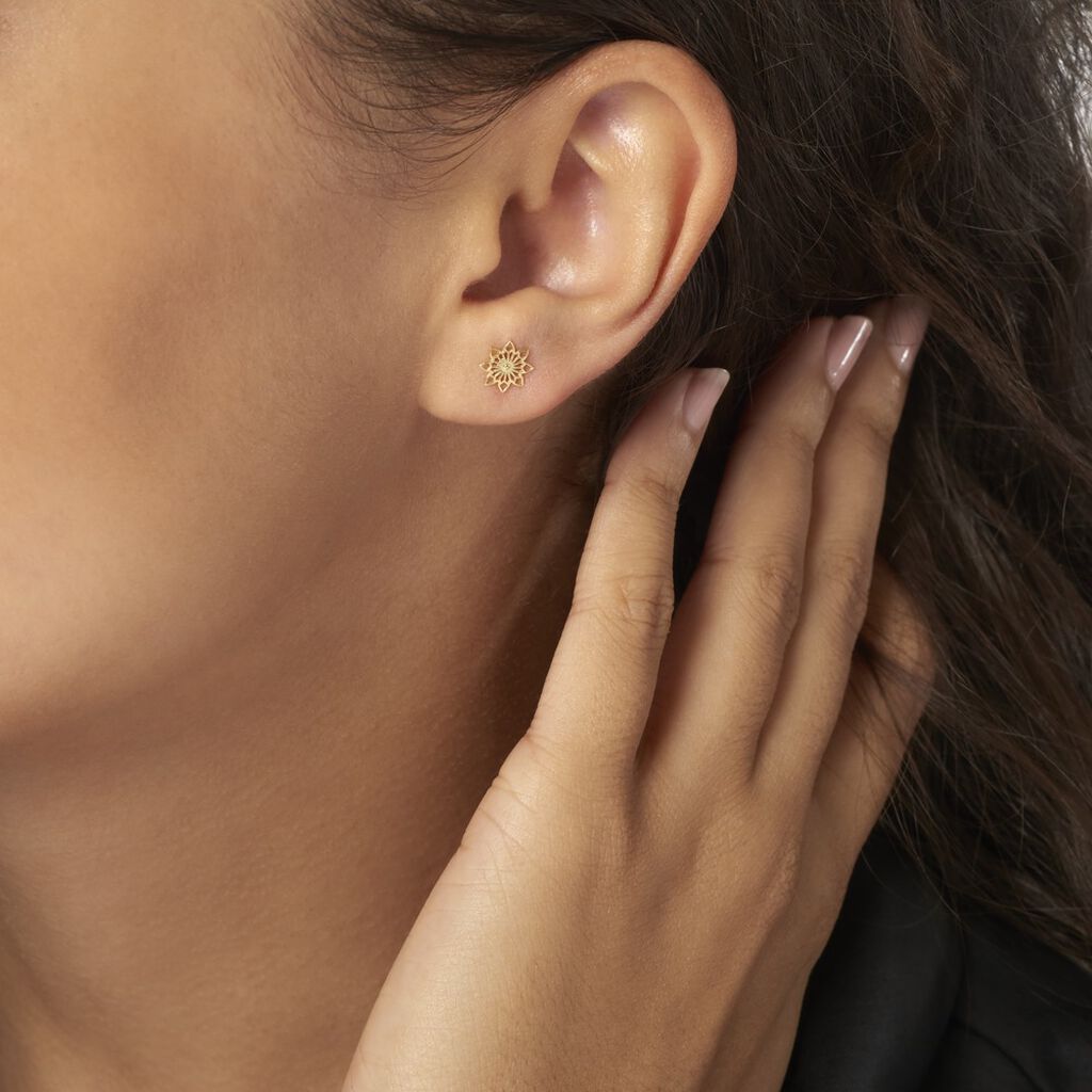 Boucles D'oreilles Puces Albiorica Or Jaune