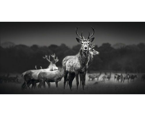 Giclée canvas schilderij Herd Of Deer 50x100 cm