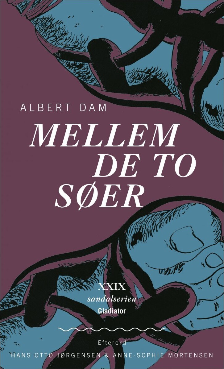 Mellem To Søer - Albert Dam - Bog