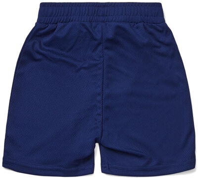 Hyperfied Logo Shorts, Medieval Blue