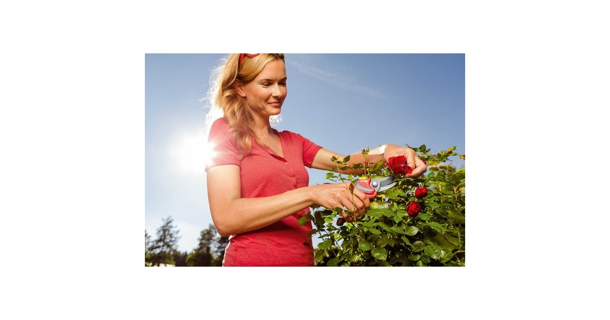 WOLF-GartenRR 4000 Snoeischaar Premium Plus  (Rood/geel)