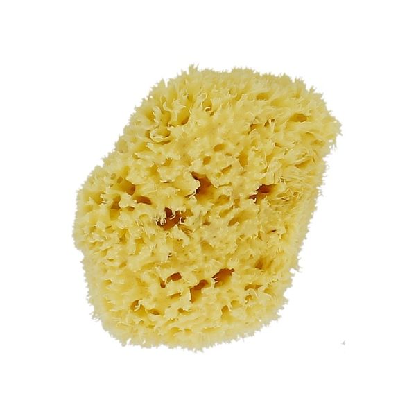 Forsters Esponja Marinha Natural S / M 8-10 cm 1 Unidade