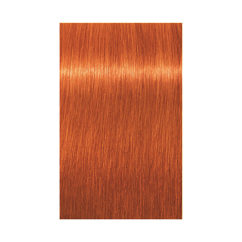 Coloration permanente Igora Royal 8-77 blond clair cuivré extra