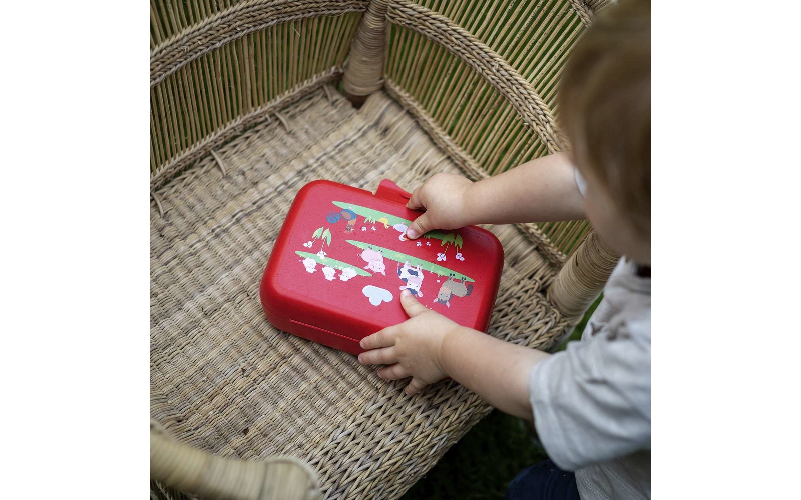 Koziol Candy L Box Lunchbox / Brotdose mit Trennschale organic moon paw patrol