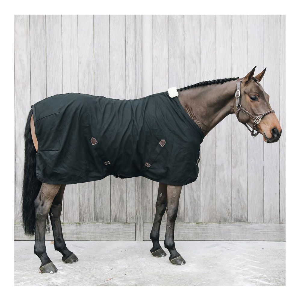 Kentucky COTON - Chemise d'écurie black