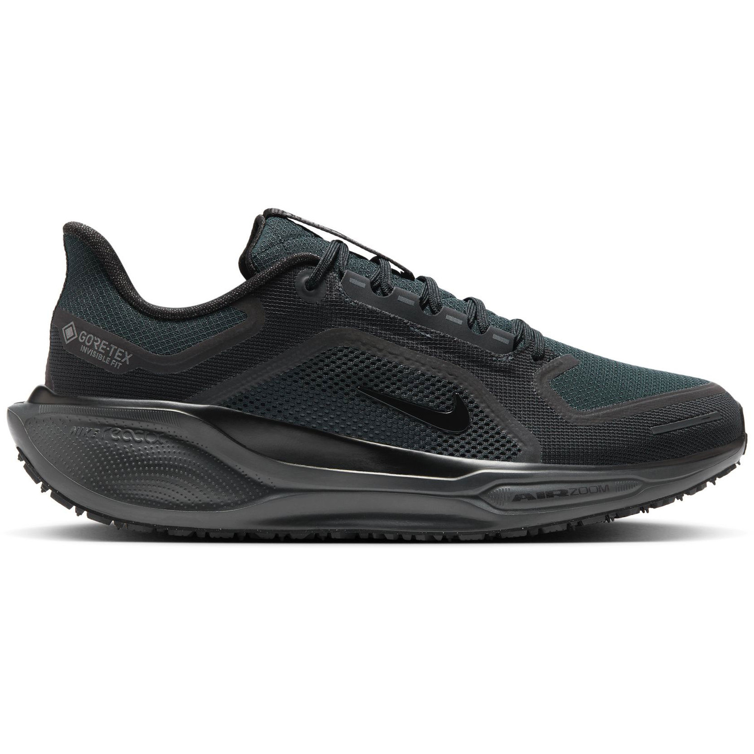 Nike Pegasus 41 GTX Heren