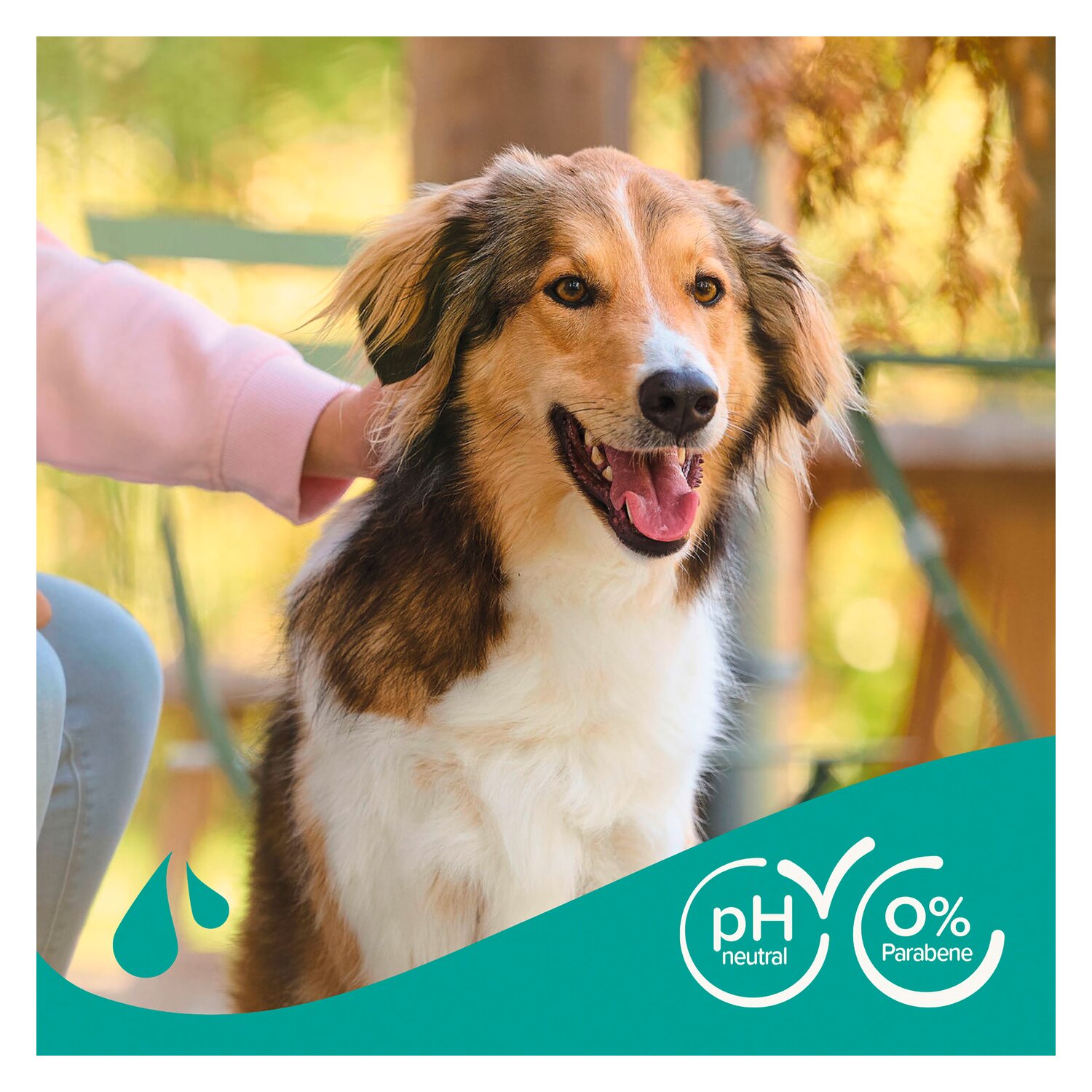 beaphar Hundeshampoo Fell-Glanz  - 250 ml