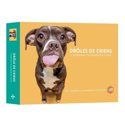 Agenda-Calendrier Drôles de chiens