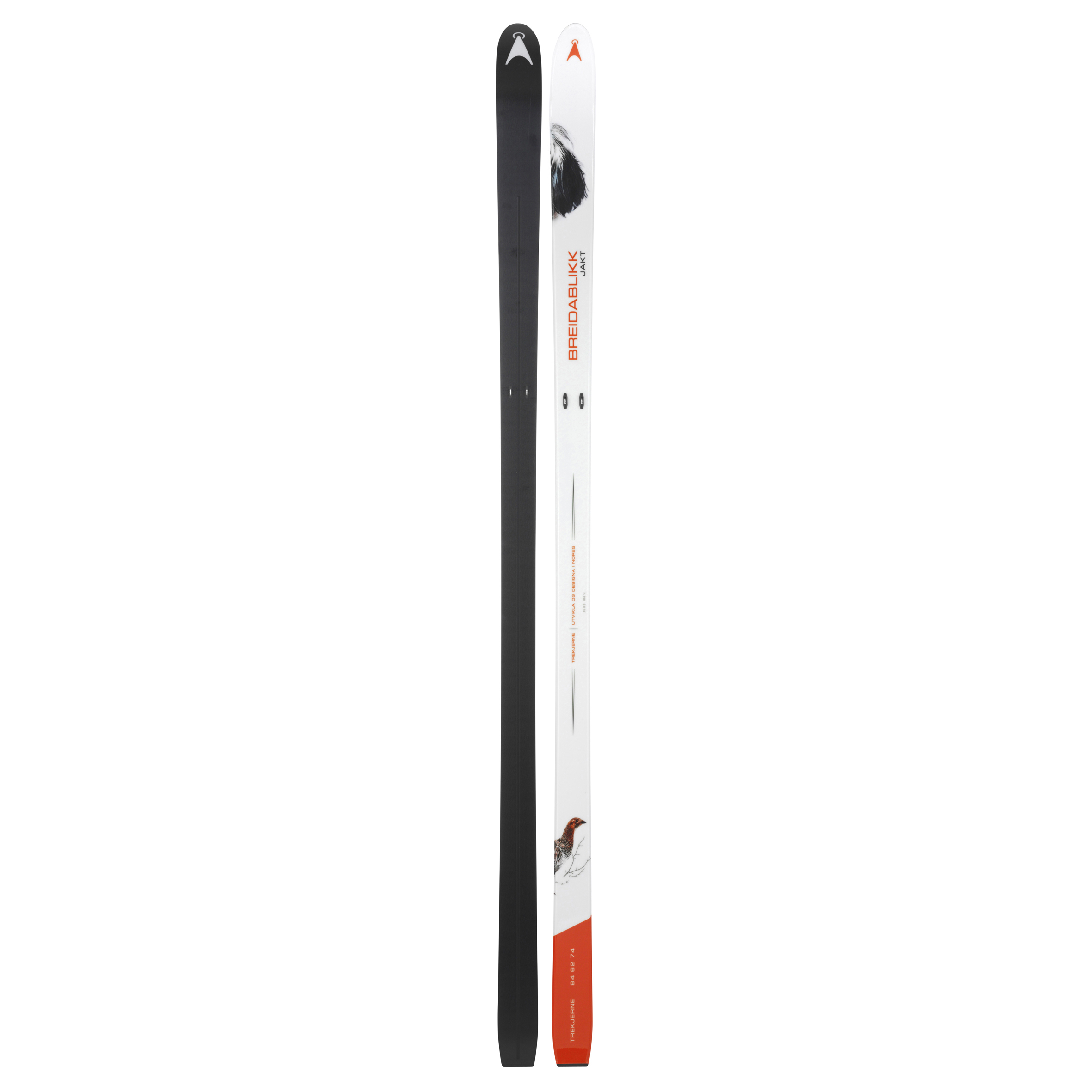 Breidablikk Hunter BC Ski WHITE