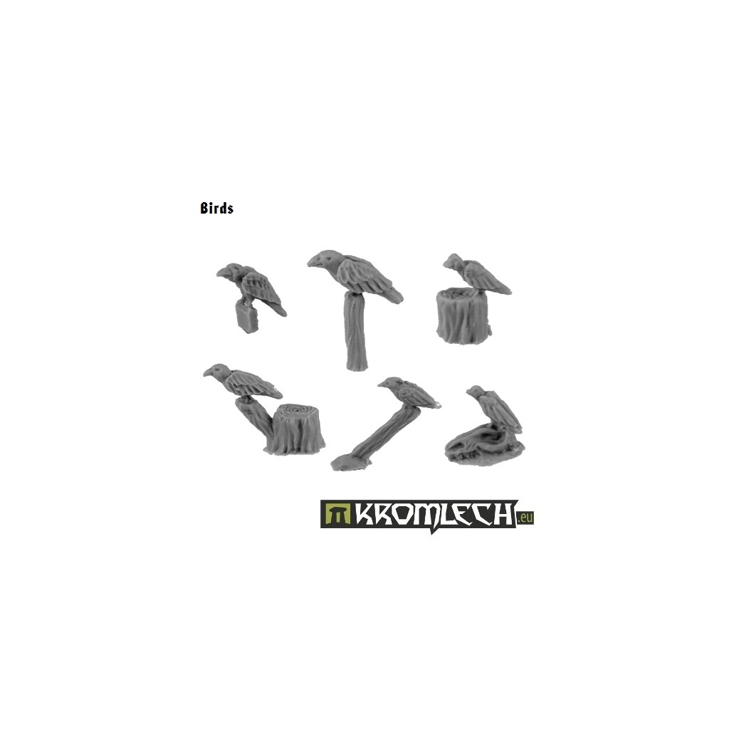 Birds