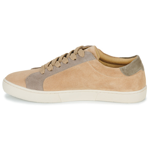 Dream in Green - ACANTHE - Beige