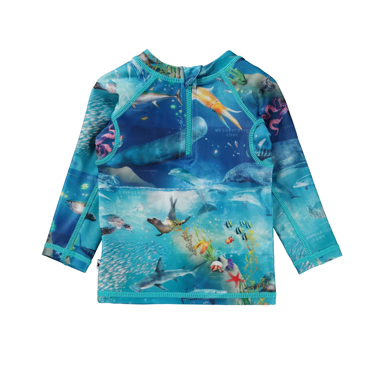 Nemo - Ocean Zones