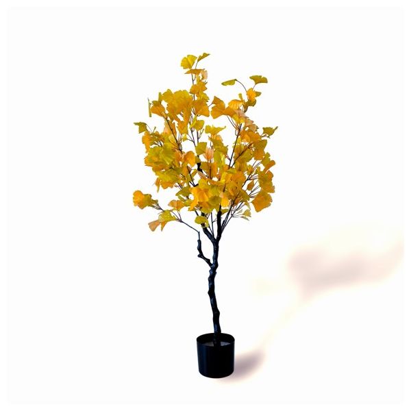 Oliivo Ginkgo 120cm