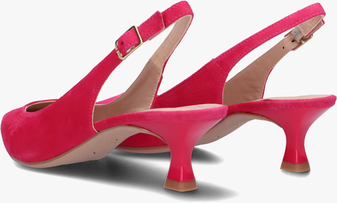 UNISA roze unisa  jamal