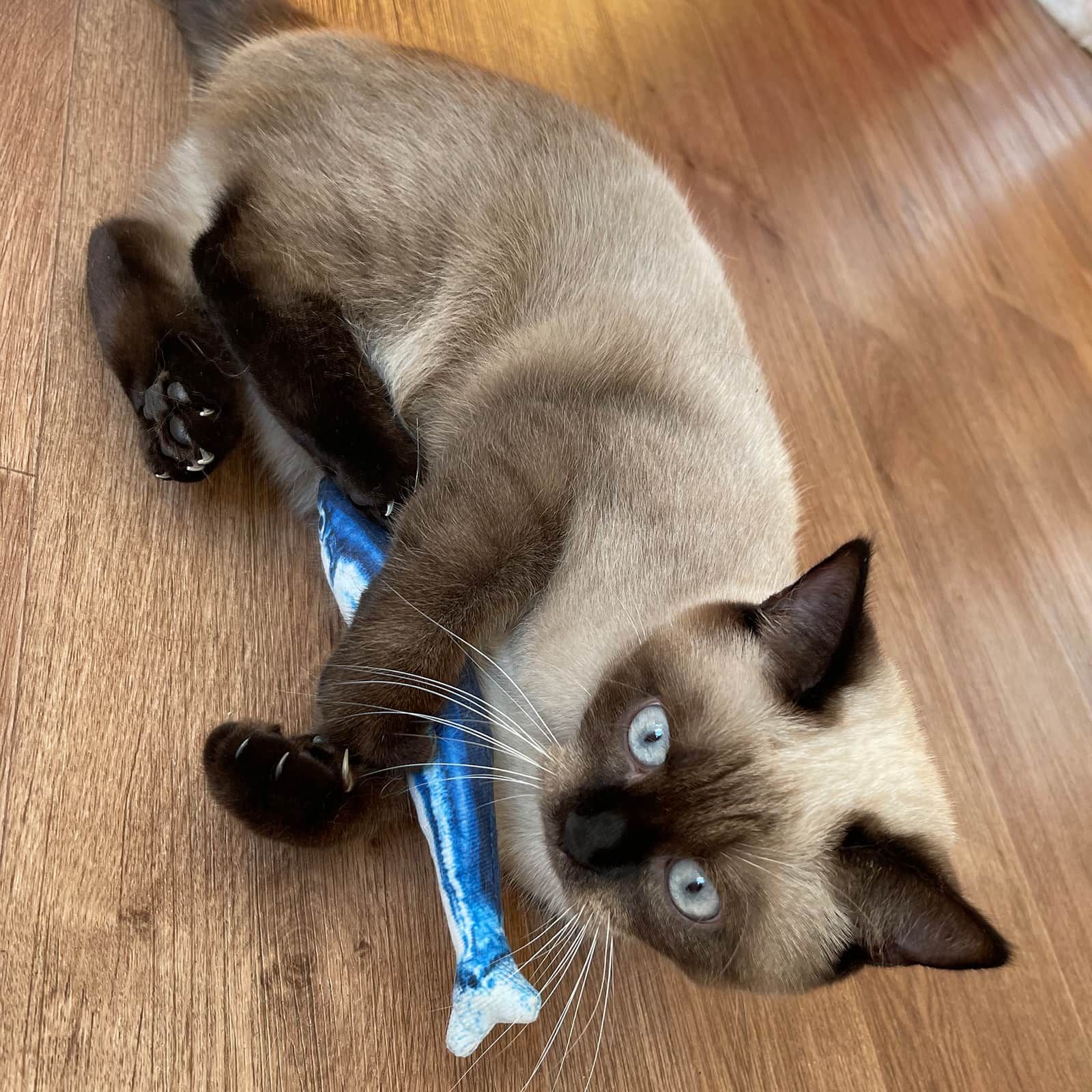 I love my cat Katzenspielzeug - Plüschfisch mit Katzenminze