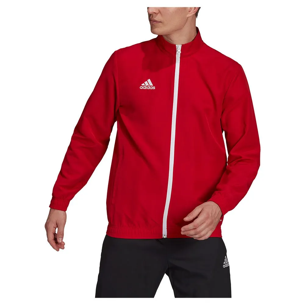 jaqueta adidas Entrada 22