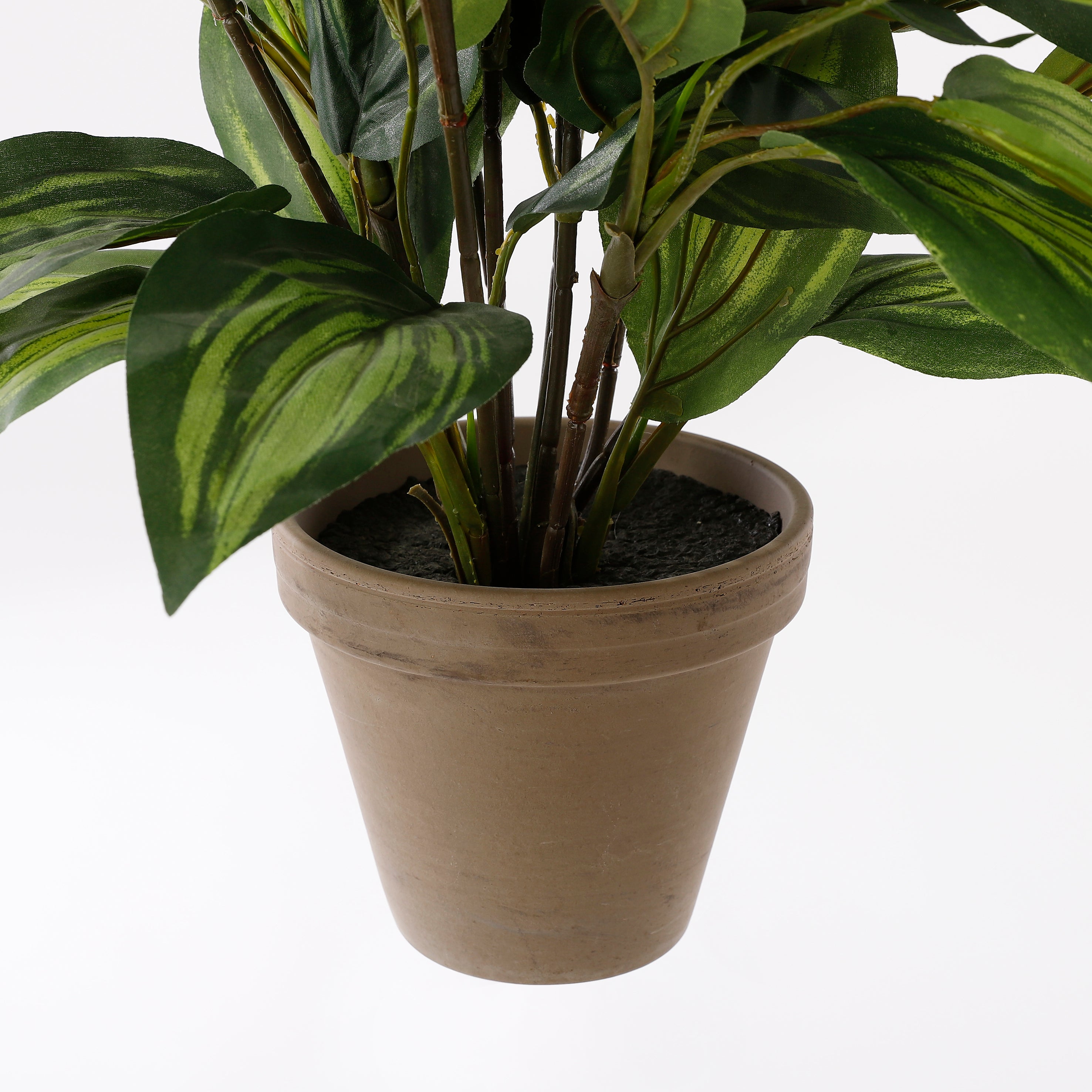 Mica Decorations Hosta groen in pot Stan grijs d15,5cm - h65xd40cm