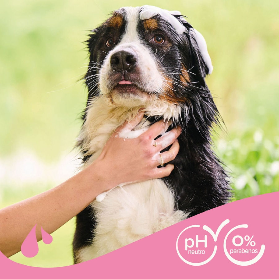 Shampoo Beaphar para cães de pelo comprido
