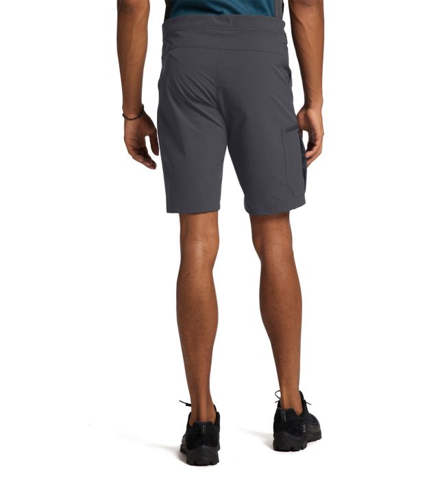 Lizard Softshell Shorts Men herreshorts