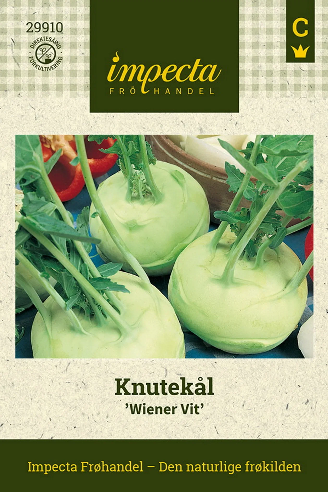 Brassica oleracea 'Wiener Vit' Knutekål 'Wiener Vit'