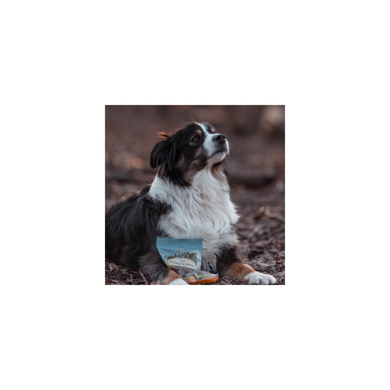 Bellfor Soft Snacks für Hunde mit Lachs - Wildbach-Happen - 200g