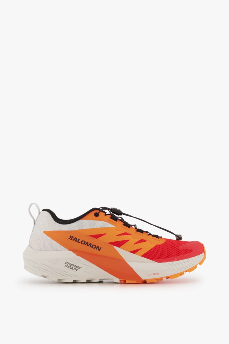 Salomon Sense Ride 5 Herren Trailrunningschuh