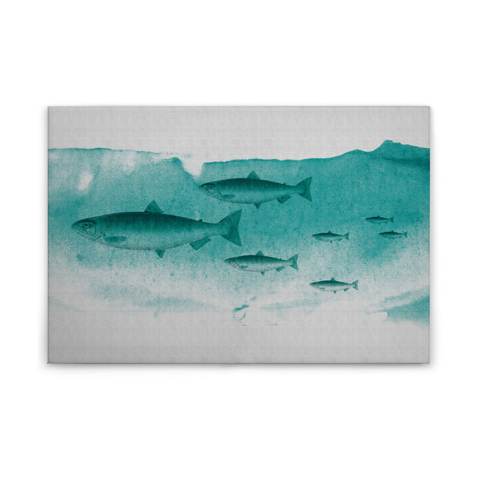 Leinwandbild FISCHE - grün-grau - 90x60 cm