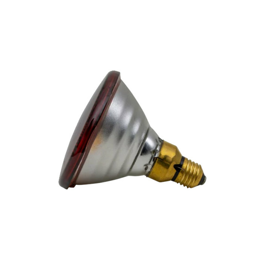 Ampoule infrarouge par 100 w rouge