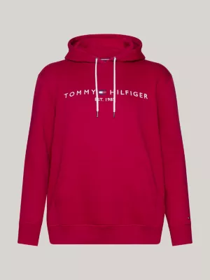 Moletom com capuz Plus Logo de corte regular