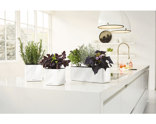 Lechuza Cube Glossy kunststof bloempot 16x16x16 cm wit incl. zelfbewateringssysteem en plantenbak