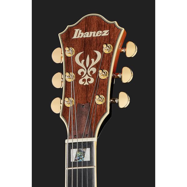 Ibanez AS113-BS